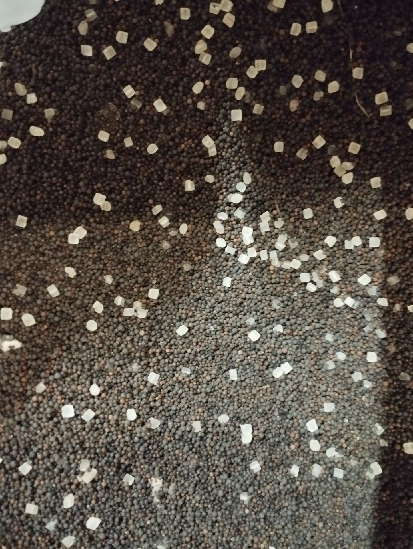 Hakma, hikma marron 20g