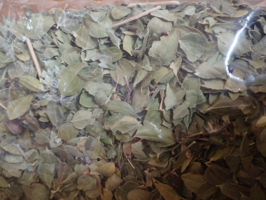 Feuilles de sidr-jujubier- mauvais oeil-Rokia-sorcellerie 50g